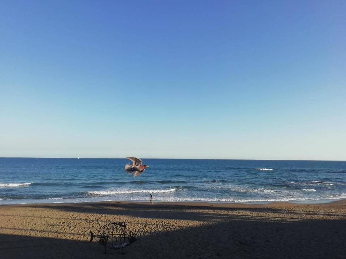 Apartamento-Estudio Benalmadena Maite-3 Kültér fotó